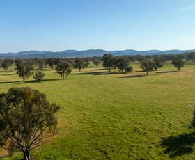 Rural / Farming commercial property for sale at 778 Torryburn Road Uralla NSW 2358