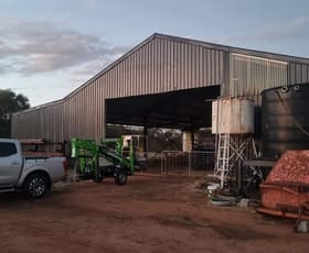 Rural / Farming commercial property for sale at 77 Beringer Road Bally Bally WA 6304
