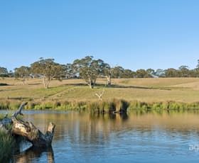 Rural / Farming commercial property for sale at 384 Range Road Montarra SA 5172