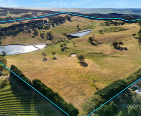Rural / Farming commercial property for sale at 384 Range Road Montarra SA 5172