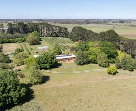 Rural / Farming commercial property sold at 681 Huntley Road Huntley NSW 2800