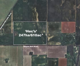Rural / Farming commercial property sold at Banyan Mail Road Banyan VIC 3485