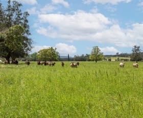 Rural / Farming commercial property for sale at 639E coolangatta road Berry NSW 2535