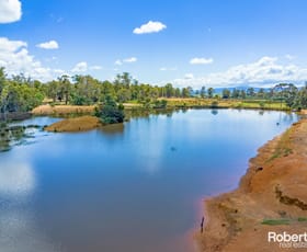 Rural / Farming commercial property for sale at 13121 Midland Highway Cleveland TAS 7211