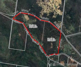 Rural / Farming commercial property for sale at Lot 80-81 / 700 Tralee Road Talgai QLD 4362