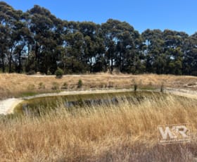 Rural / Farming commercial property for sale at Lot 224 Albany Highway Mount Barker WA 6324