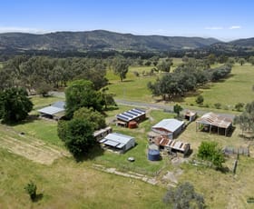 Rural / Farming commercial property for sale at 52 Sessions Road Warrenbayne VIC 3670