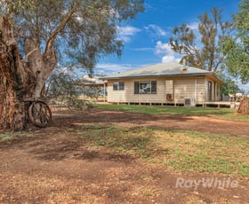 Rural / Farming commercial property for sale at 83 McNair Lane Lockington VIC 3563