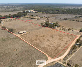 Rural / Farming commercial property for sale at 25 Blake Road Red Cliffs VIC 3496