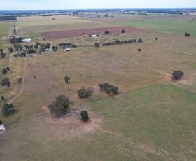 Rural / Farming commercial property for sale at "Sunnyvale" 120 Pouts Road Forbes NSW 2871