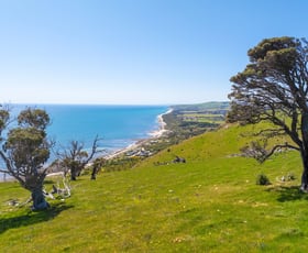 Rural / Farming commercial property for sale at Lots 23 & 24 Main South Road Normanville SA 5204