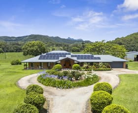Rural / Farming commercial property for sale at 981 Numinbah Road Crystal Creek NSW 2484