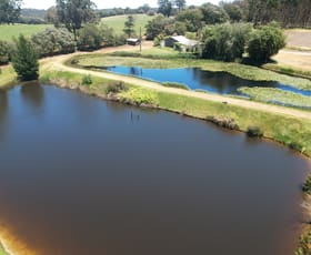 Rural / Farming commercial property for sale at 305 Riverway Road Boorara Brook WA 6262
