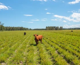 Rural / Farming commercial property for sale at 1205 Maria River Road Limeburners Creek NSW 2444