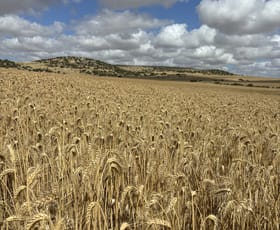 Rural / Farming commercial property for sale at Lot 65 Forrester Road Mount Erin WA 6532