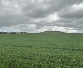 Rural / Farming commercial property for sale at Lot 65 Forrester Road Mount Erin WA 6532