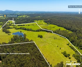 Rural / Farming commercial property for sale at 49 Bluffview Road Bago NSW 2446
