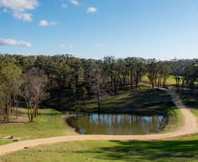 Rural / Farming commercial property for sale at 6693 New England HIghway Tenterfield NSW 2372