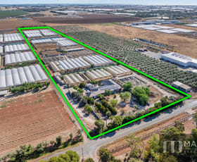 Rural / Farming commercial property for sale at 460 Womma West Road Penfield Gardens SA 5121
