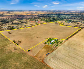 Rural / Farming commercial property for sale at 70 Kinvara Road Junee NSW 2663