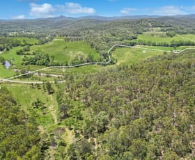 Rural / Farming commercial property for sale at 3324 Great North Road Wollombi NSW 2325