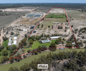 Rural / Farming commercial property for sale at 490 Low Darling Road Pomona NSW 2648