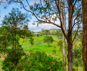 Rural / Farming commercial property for sale at 539 Oaky Creek Road Oaky Creek QLD 4285