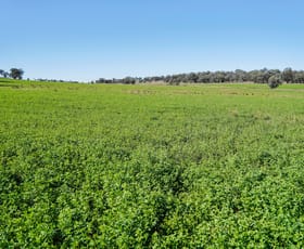 Rural / Farming commercial property sold at 9228 Mitchell Highway Wellington NSW 2820
