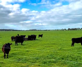 Rural / Farming commercial property for sale at Kolora Lane Kolora VIC 3265