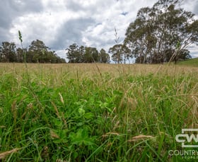 Rural / Farming commercial property for sale at 1, - Watsons Road Pinkett NSW 2370
