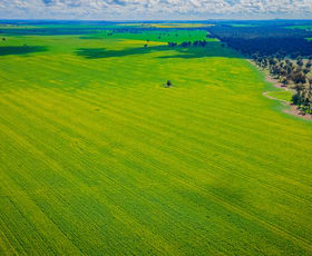 Rural / Farming commercial property sold at 'Snowies' Plemings Lane Coolamon NSW 2701