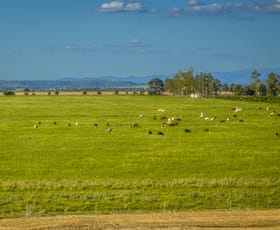 Rural / Farming commercial property sold at 60 Mount Leinster Road Irvingdale QLD 4404