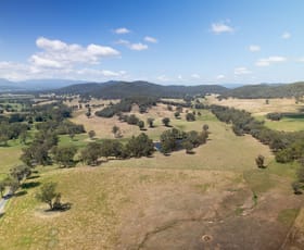 Rural / Farming commercial property for sale at - Moyhu-Meadow Creek Road Moyhu VIC 3732