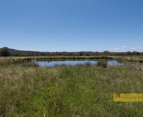 Rural / Farming commercial property sold at 2/1921 Barneys Reef Road Gulgong NSW 2852