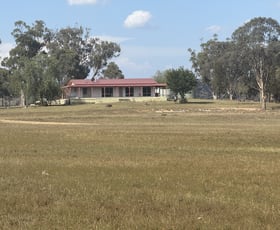 Rural / Farming commercial property for sale at 207 Redmanvale Road Jerrys Plains NSW 2330