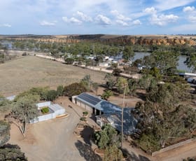 Rural / Farming commercial property for sale at 217 Mallee Road Walker Flat SA 5238