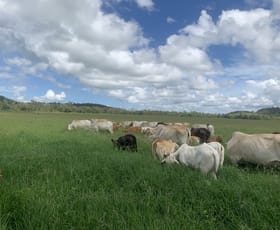 Rural / Farming commercial property for sale at Lot 4 Marwood Sunnyside Road Sunnyside QLD 4737