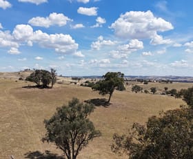 Rural / Farming commercial property sold at "Karinya" Pride of Oak Road Canowindra NSW 2804