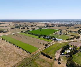 Rural / Farming commercial property for sale at 223 McSwain Road Echuca VIC 3564