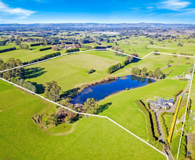Rural / Farming commercial property for sale at 84 Solomons Road Lillico VIC 3820