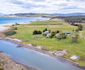 Rural / Farming commercial property for sale at 11264 Tasman Highway Little Swanport TAS 7190