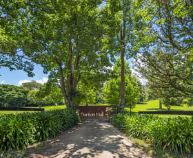 Rural / Farming commercial property for sale at 650 Darkwood Road Thora NSW 2454