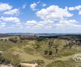 Rural / Farming commercial property for sale at 162, 2202 Wellington Vale Road Emmaville NSW 2371