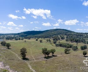 Rural / Farming commercial property for sale at 623 & 624, 2202 Wellington Vale Road Emmaville NSW 2371