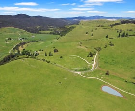 Rural / Farming commercial property for sale at 1351 Gelantipy Road Murrindal VIC 3885