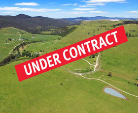 Rural / Farming commercial property for sale at 1351 Gelantipy Road Murrindal VIC 3885