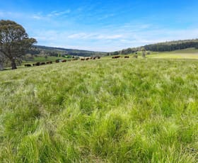 Rural / Farming commercial property sold at 1026 Lower Bendoc Road Bendoc VIC 3888