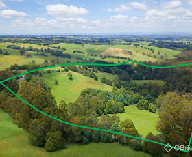 Rural / Farming commercial property for sale at 85 Paynter Road Neerim Junction VIC 3832