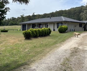Rural / Farming commercial property for sale at 2329 Orara Way Glenreagh NSW 2450