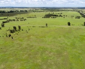 Rural / Farming commercial property for sale at 'Carlton' 5227 Carnarvon Highway Roma QLD 4455